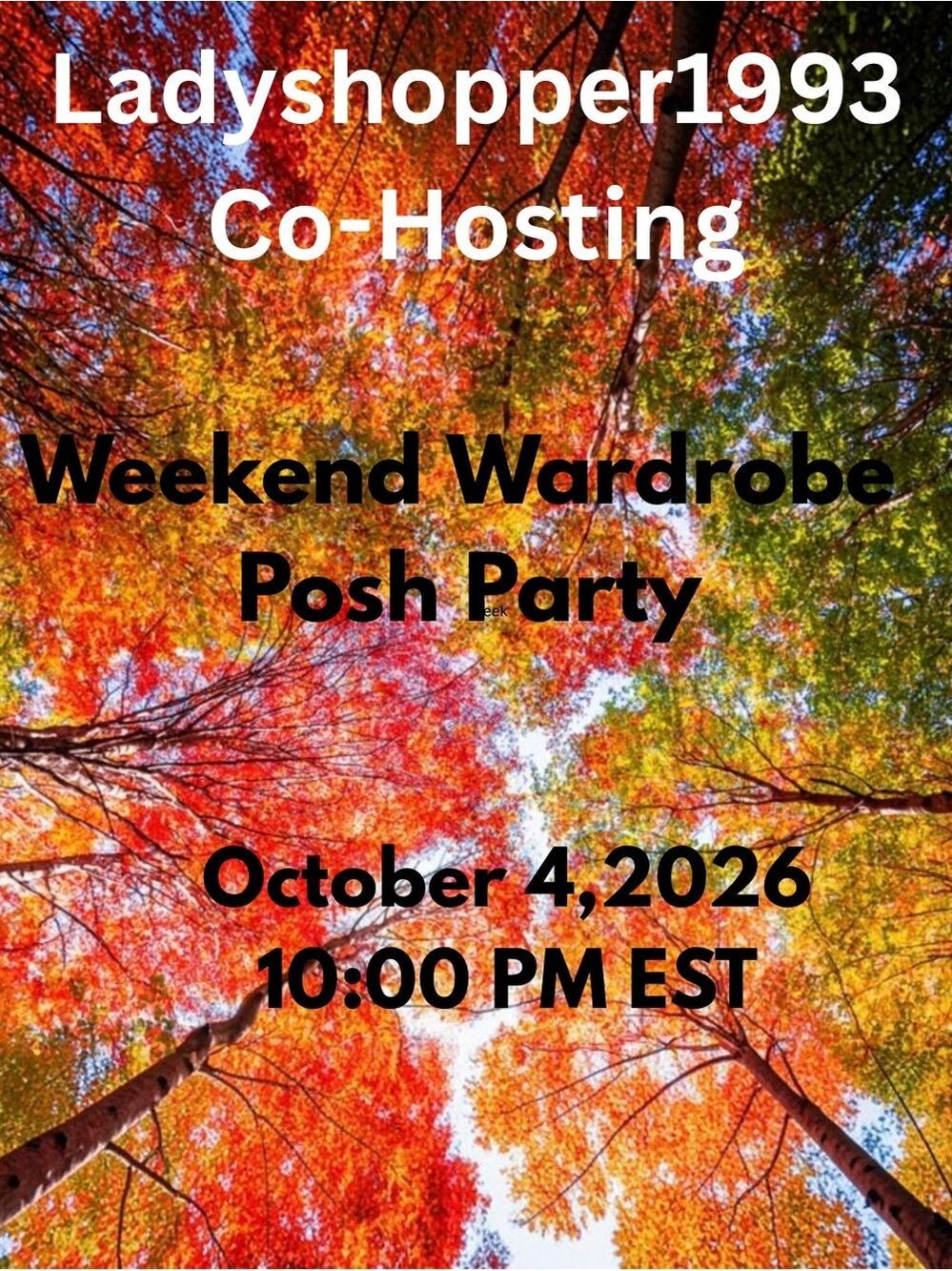 Weekend Wardrobe Posh Party Flyer